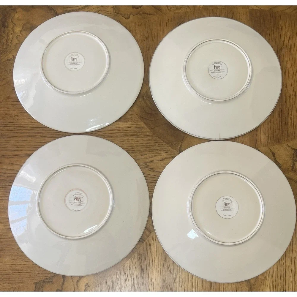 4 Pier 1 Imports Sanctuary Starburst Stoneware Dinner Plates 11.25